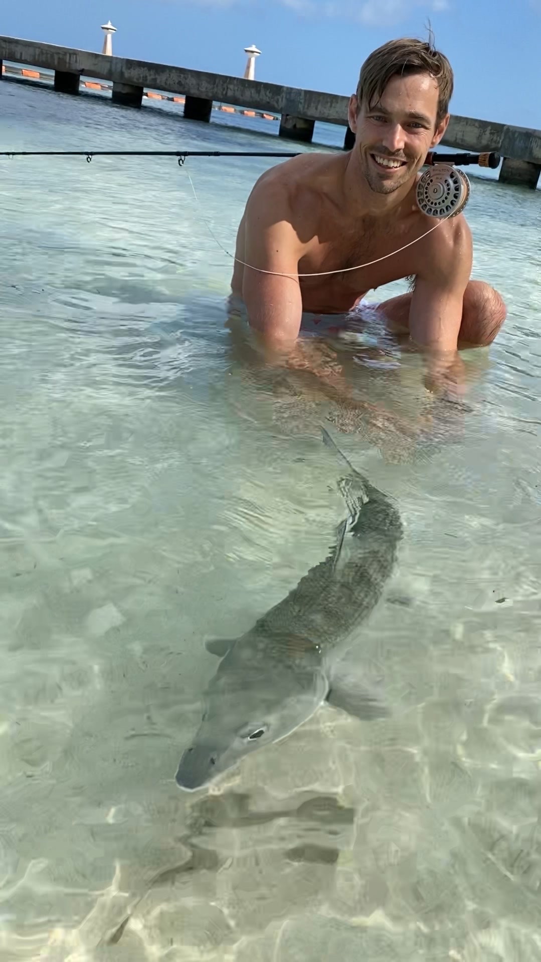 Fly angler releasing a bonefish in shallow clear water near dock in Grand Cayman, Cayman Islands