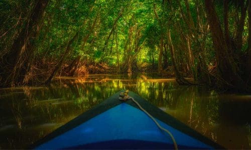 Economic Diversification Fund